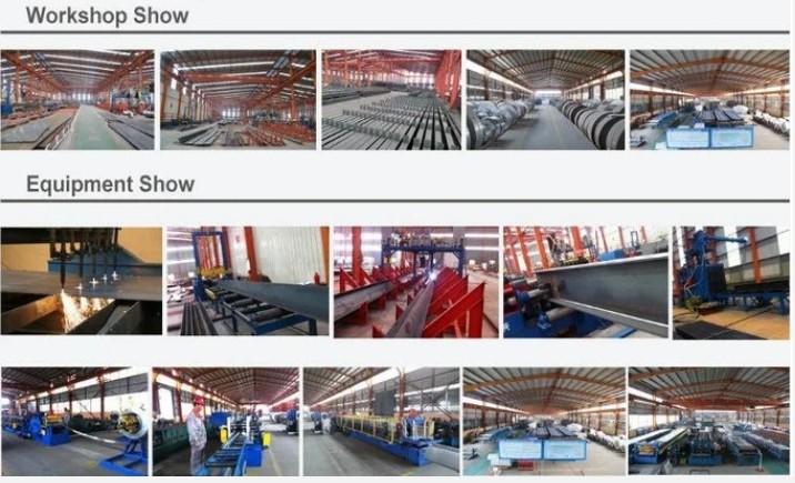 Qingdao Xinguangzheng Husbandry Co.,  Ltd fabrika üretim hattı