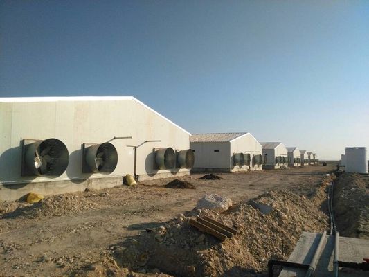 Çelik Çiftliği Hayvan Evi Tek Eğimli Hayvancılık Özel