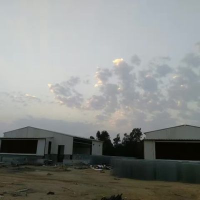 ODM Prefab Metal Depo Akıllı Çelik Çerçeve Tavuk Evi