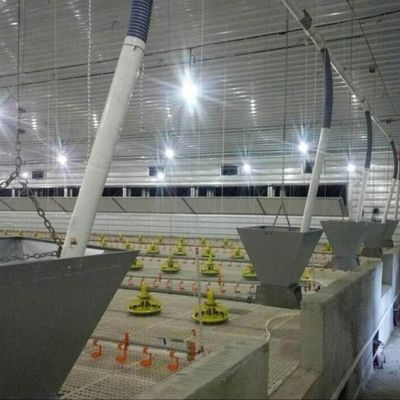 Galvanizli Yaprak Çiftlik Evleri Çelik Yapı Çiftçi Tavuk Evleri
