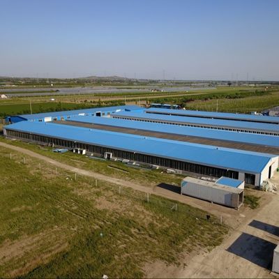 Galvanizli Yaprak Çiftlik Evleri Çelik Yapı Çiftçi Tavuk Evleri