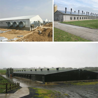 SGS Hayvancılık Çiftliği Evi Prefabrik Otomatik Çelik Çerçeve Tavuk Kulübü