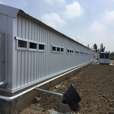 Tavuk çiftliği Tavuk evi Hafif prefabrik çelik yapı binası