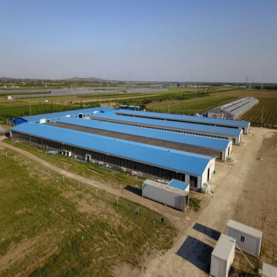 Tavuk çiftliği Tavuk evi Hafif prefabrik çelik yapı binası