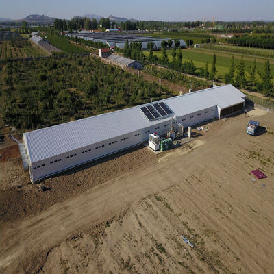 Tavuk çiftliği Tavuk evi Hafif prefabrik çelik yapı binası