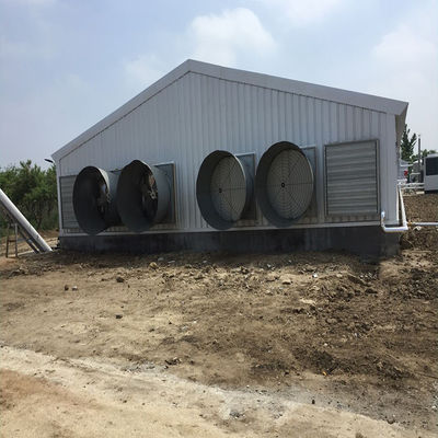 Tavuk çiftliği Tavuk evi Hafif prefabrik çelik yapı binası
