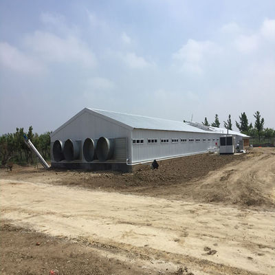 Tavuk çiftliği Tavuk evi Hafif prefabrik çelik yapı binası