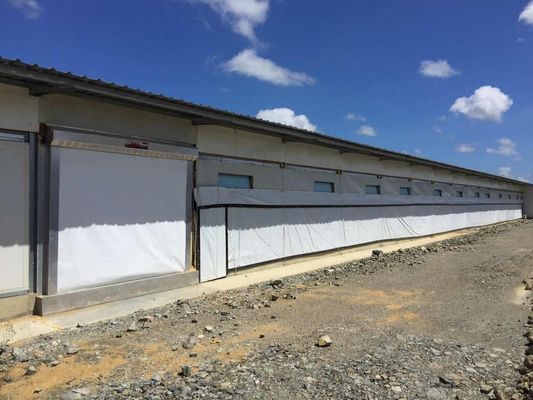 ISO Hayvanlık Çiftliği Evi Prefabrik Çelik Yapı Tavuk Çiftliği Evi
