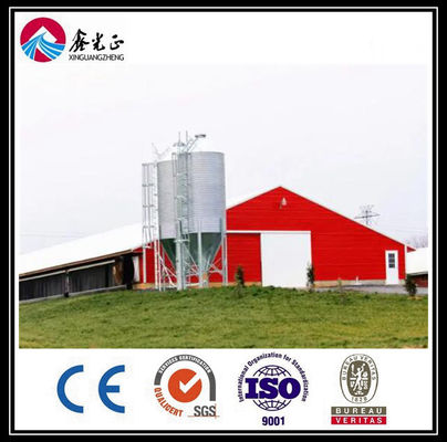 CE Broiler Tavuk Kafes Sistemi Tavuk yetiştirme için Tencere besleme sistemi