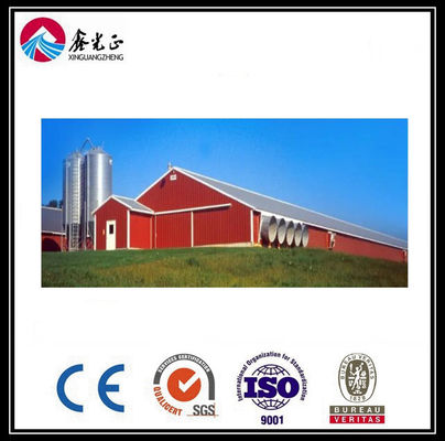 CE Broiler Tavuk Kafes Sistemi Tavuk yetiştirme için Tencere besleme sistemi