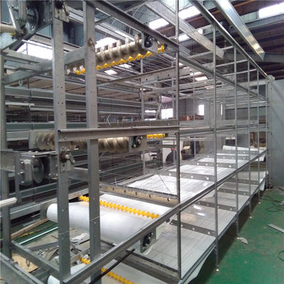 Gelişmiş çiftlikler için H Çerçeve Kafes Tasarımı Otomatik Broiler Besleme Sistemi