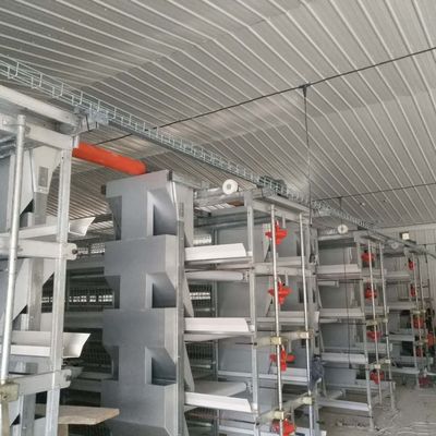 Büyük Aralıklı Broiler Tavuk Kafes Sistemi 230M*56M Doğum Ülkesi için
