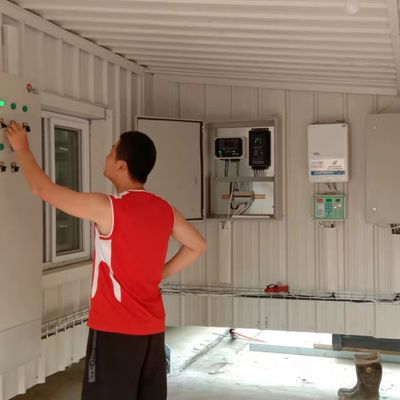 Avtomatik Broiler Besleme Sistemi Tavuk çiftlikleri için ideal çözüm