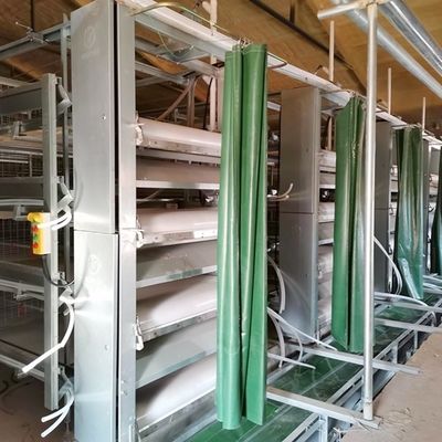 Düşük Esneklik Broiler Tavuk Kafes Sistemi Geniş Şık Ve Modern Tasarım