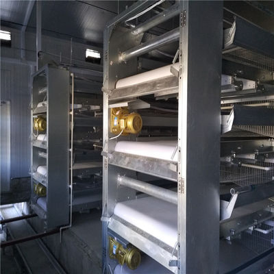 Elektrostatik püskürtme ile zarif ve modern tasarımlı otomatik broiler besleme sistemi