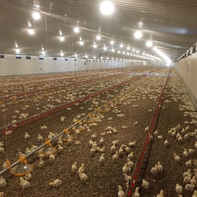 Korrozyona dayanıklı uzun ömürlü et ve tavuk zemin sistemi / Plastik malzeme