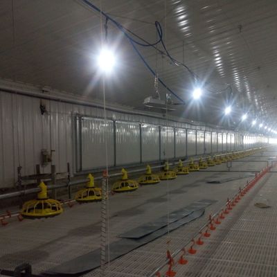 Yüksek Performans için Kayma Karşıtı Broiler Zemin Sistemi Standartı