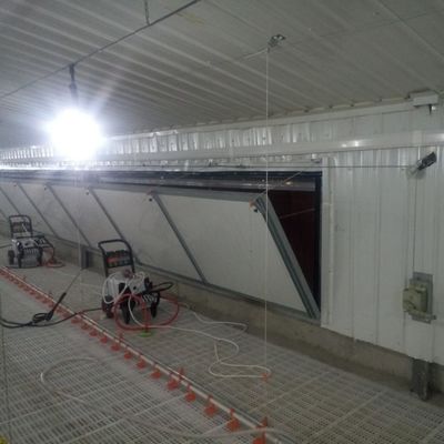 Yüksek Performans için Kayma Karşıtı Broiler Zemin Sistemi Standartı