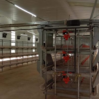 1950*350*380mm Tavuk Çiftliği Gelişmiş Teknoloji için Tavuk Kuşatma Kafesleri