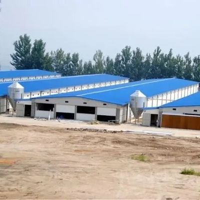 Kolay Birleştirme Tasarımı Taşınabilir Düşük Maliyetli Tavuk Evi Çelik Yapı