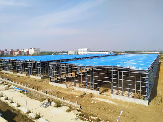Profesyonel Tasarım Prefab Çelik Yapı Tavuk Çiftliği Ekipmanı Evi