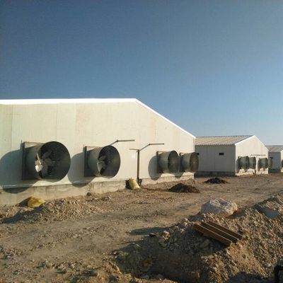 İzolasyon panelleri ile özel kabartmalı çatı prefabrik tavuk evi
