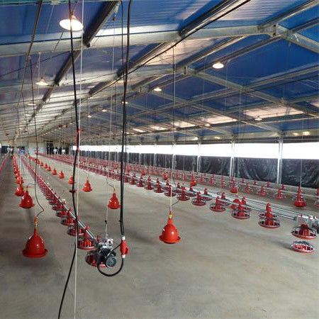Hayvanlık üretim hattı için mükemmel havalandırma birbirine bağlanan broiler zemin sistemi