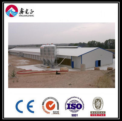 CE Broiler Tavuk Kafes Sistemi Tavuk yetiştirme için Tencere besleme sistemi