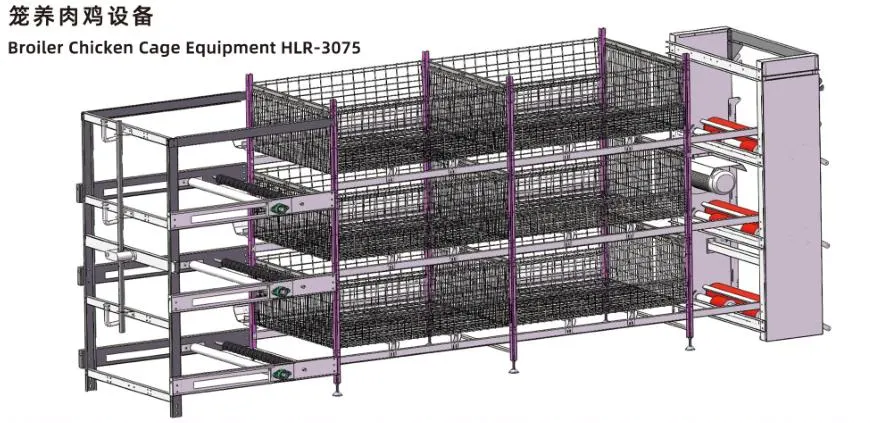 ISO Broiler Tavuk Kafes Sistemi Tavuk Çiftliği için Özel Tavuk Broiler Kafes 2