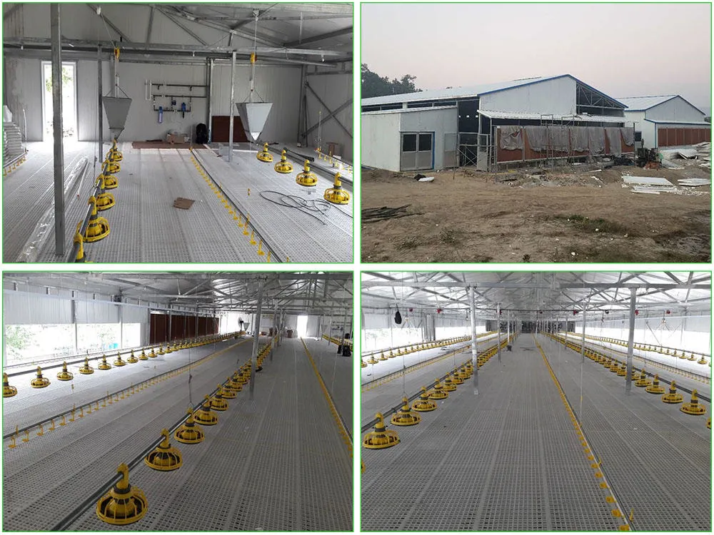 SGS Hayvancılık Çiftliği Evi Prefabrik Otomatik Çelik Çerçeve Tavuk Kulübü 0