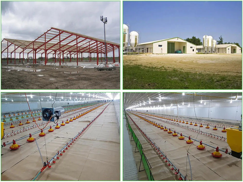 SGS Hayvancılık Çiftliği Evi Prefabrik Otomatik Çelik Çerçeve Tavuk Kulübü 1