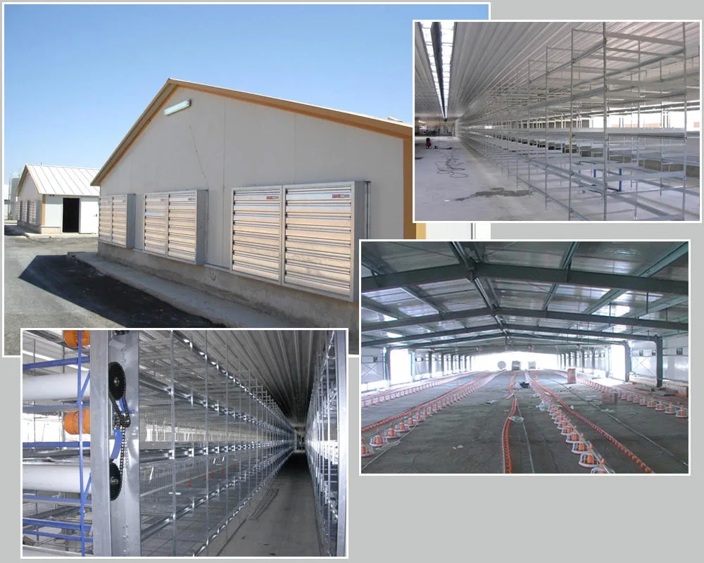 SGS Hayvancılık Çiftliği Evi Prefabrik Otomatik Çelik Çerçeve Tavuk Kulübü 2