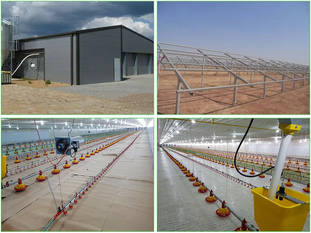 SGS Hayvancılık Çiftliği Evi Prefabrik Otomatik Çelik Çerçeve Tavuk Kulübü 3