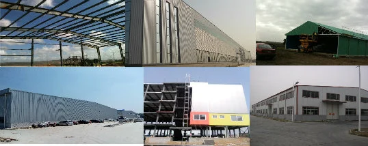 SGS Hayvancılık Çiftliği Evi Prefabrik Otomatik Çelik Çerçeve Tavuk Kulübü 5