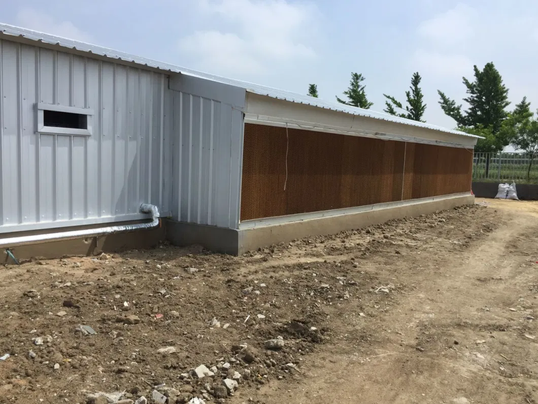 CE Hayvanlık Çiftliği Evi Çelik Yapı Tavuk Evi ve Tavuk Ekipmanı 10